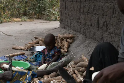 DSC_3167 (Large).JPG